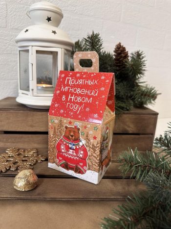 Коробка новогодняя подарочная Приятные мгновения, 91х70х157 (+30) мм (домик)